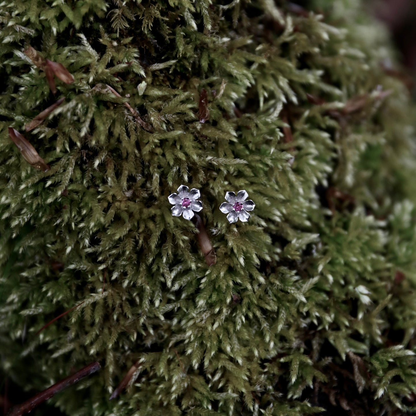 Tiny Plum Blossom Earrings